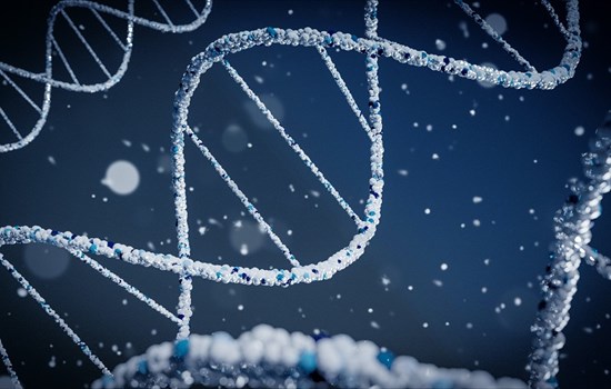 Ευρωπαίοι ερευνητές βρίσκουν βασικό γονίδιο που σχετίζεται με τη μόλυνση με ΑΠΧ